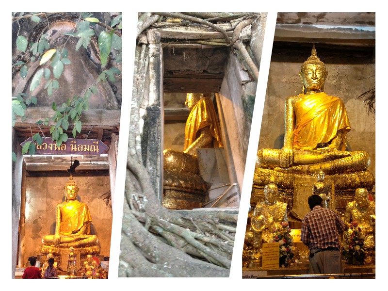 ทริปเที่ยว1วันใกล้กรุงเทพสมุทรสงคราม watbangkung all