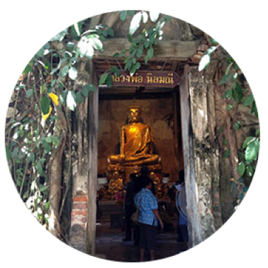 Home ของขวัญต้นไม้มงคลท่องเที่ยว watbangkung round1 400